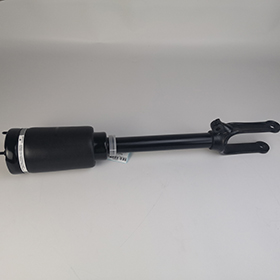 W164 front air suspension shock without ADS02-1.jpg
