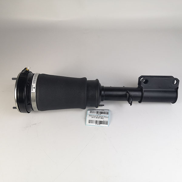 X5 E53 front air shock absorber