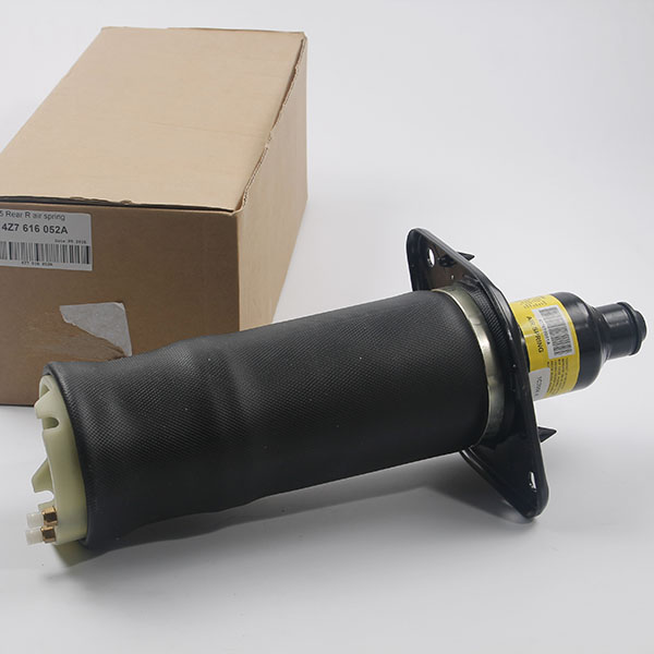 A6 C5 rear right air spring bag (6).jpg