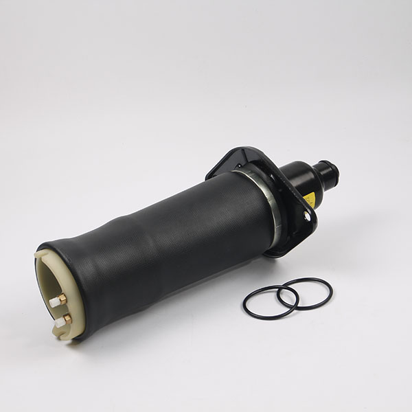 A6 C5 rear left air spring bag.jpg