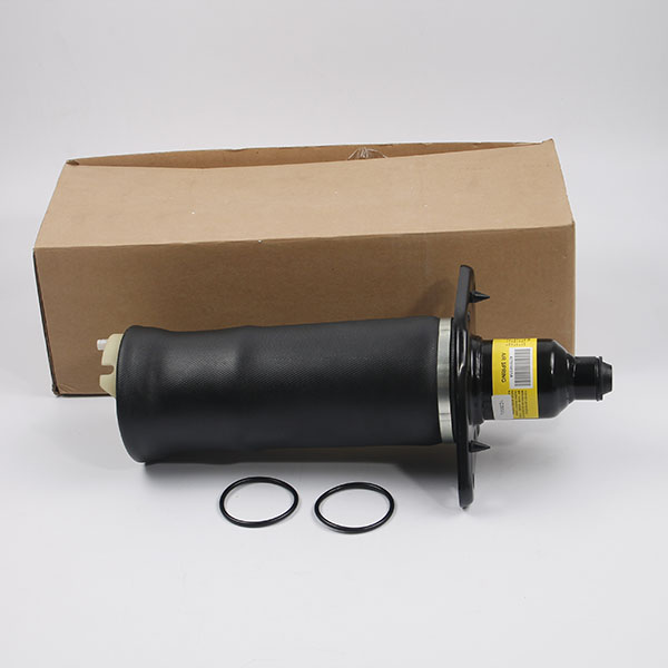 A6 C5 rear left air spring bag-02.jpg