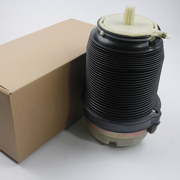 A6 C6 rear air spring bag-05.jpg