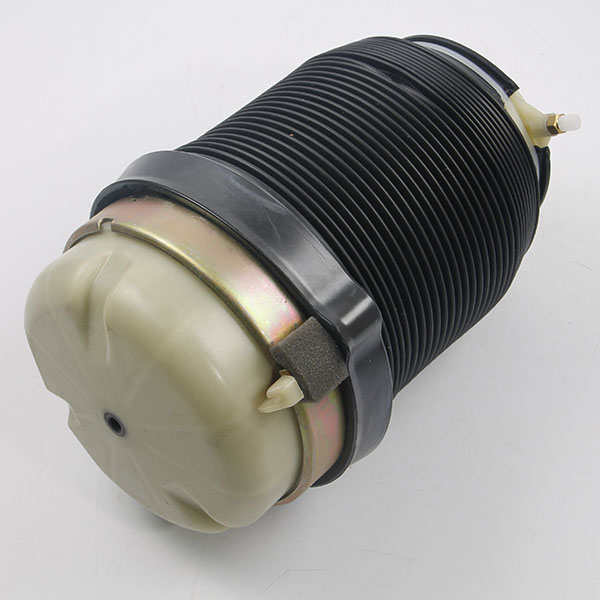 A6 C6 rear air spring bag.jpg