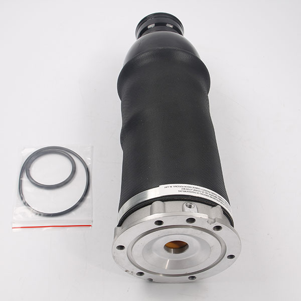 A6 C5 front air spring bag-02.jpg