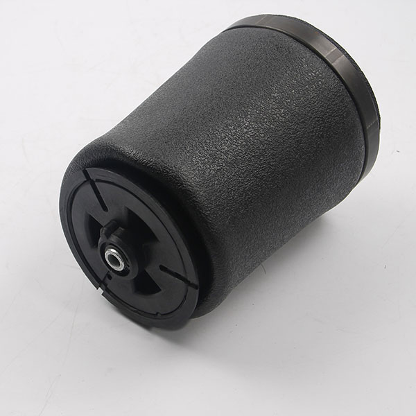 E39 rear left air spring bag.jpg