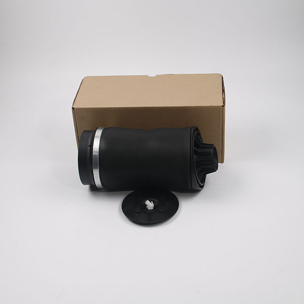 W251 rear air spring bag (1).jpg