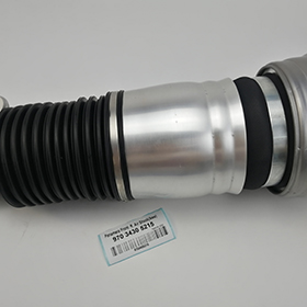 Panamera air shock absorber front right06-1.jpg